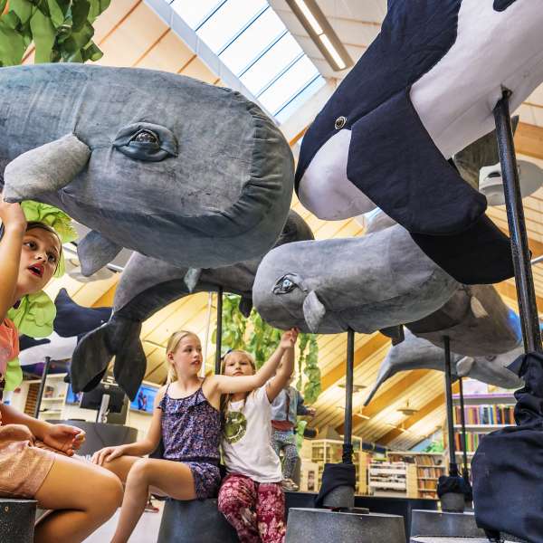 Udstilligen "Kaskelotternes sang"