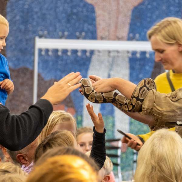 Slanger på Flensborg Bibliotek